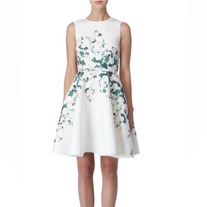 ERIN by Erin Fetherston White English Rose Fit and Flare Dress | Size 2